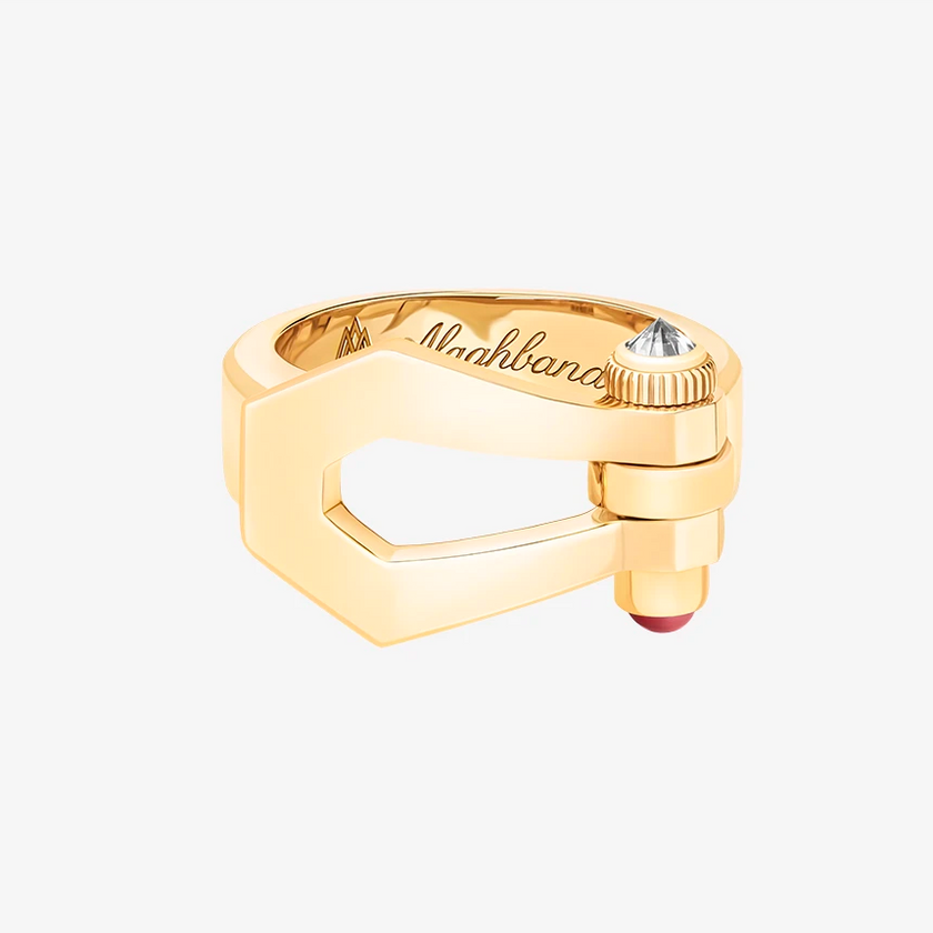 Alaghband Kite Ring with Ruby Pin